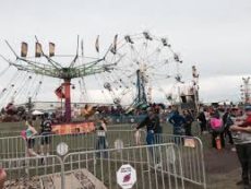 Vegreville Country Fair